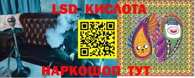 прущие грибы Новодвинск