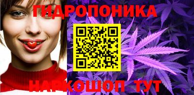 мет Новозыбков